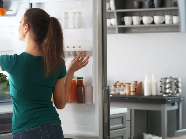 ¿Cómo escoger un regulador de voltaje para el refrigerador?